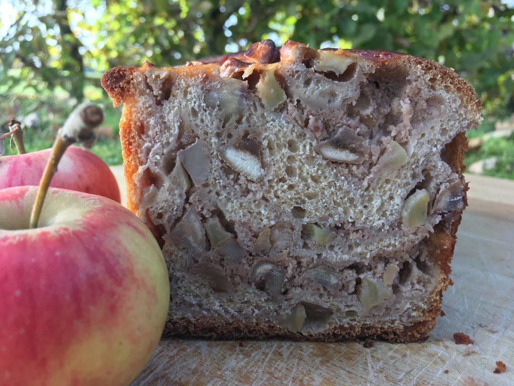 Apfel-Maronen-Striezel – Wildes Brot