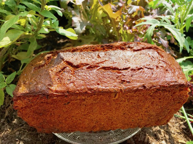 Einkorn-Zucchini-Hanf-Brot – Wildes Brot
