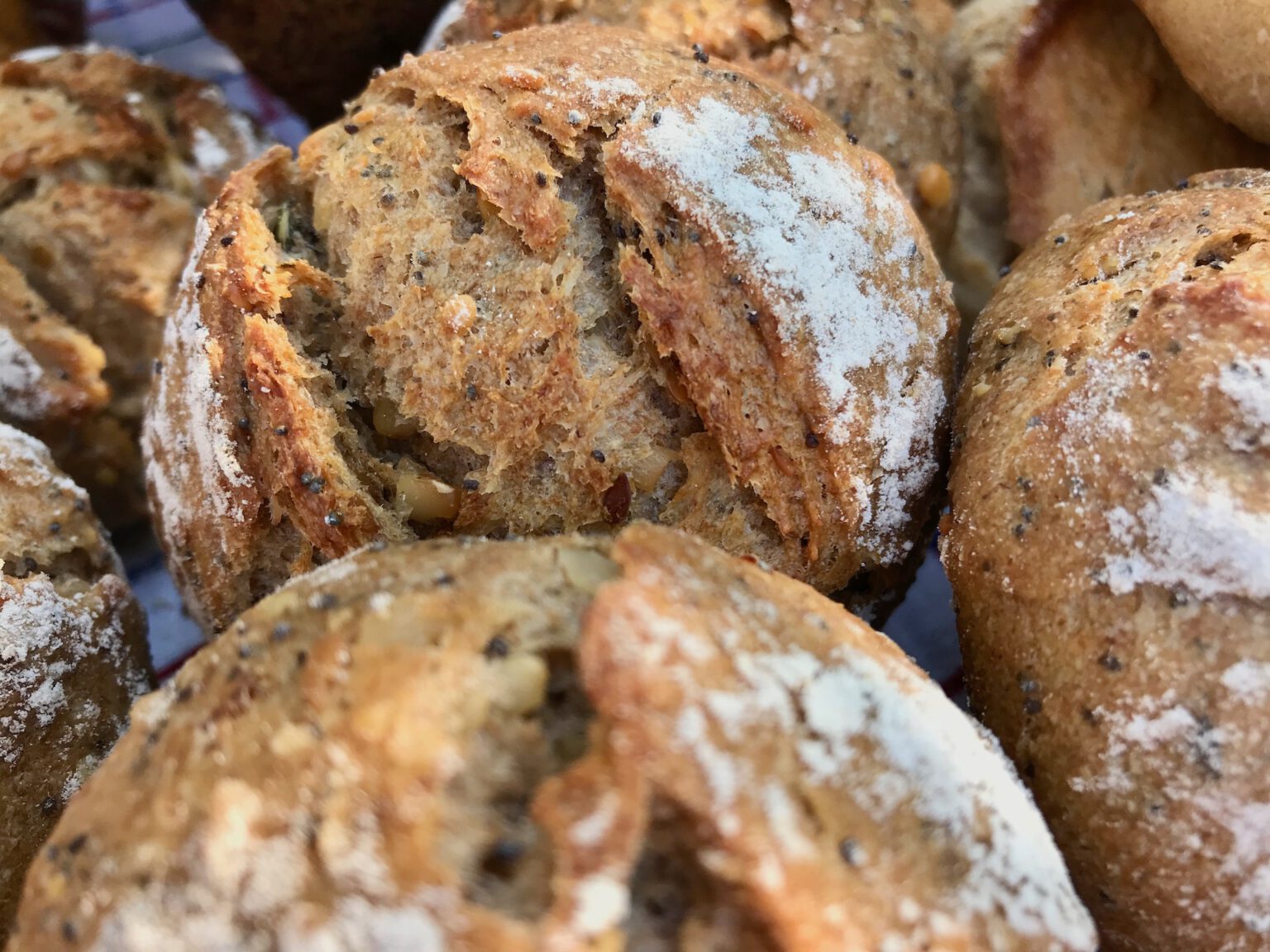 Projekt Brötchentüte: Joghurt-Saaten-Brötchen – Wildes Brot