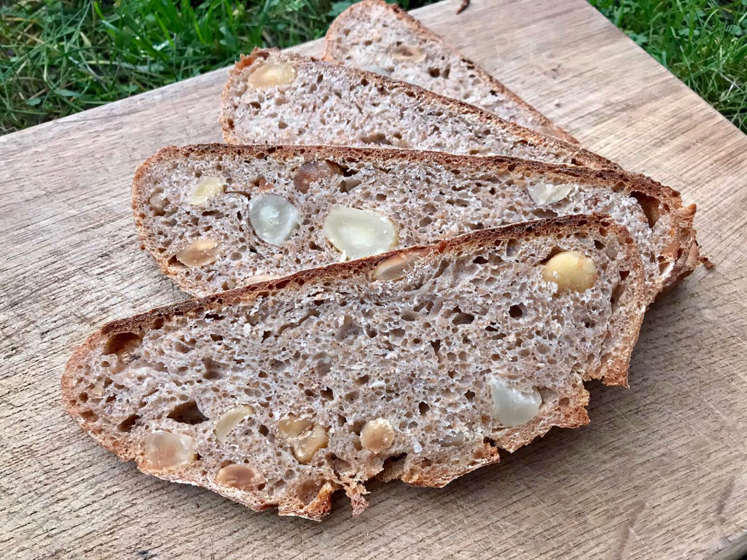 Viel-Nuss-Brot – Wildes Brot