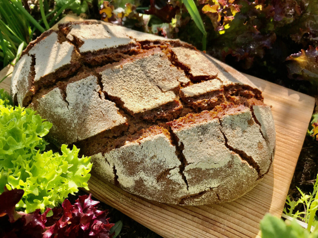 Roggen only – Roggly – Wildes Brot
