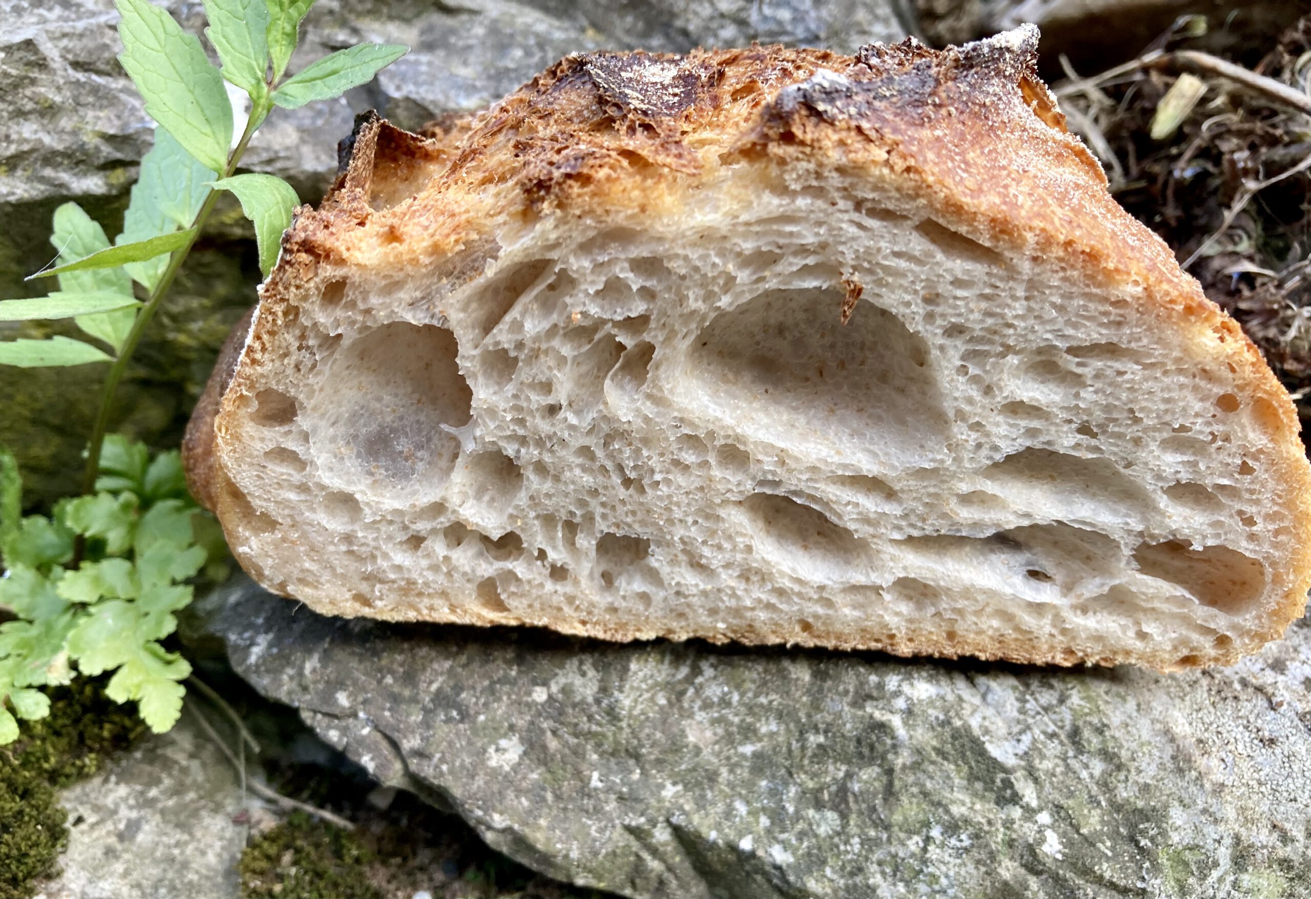 Wildes Brot auf Reisen: INTERNORGA