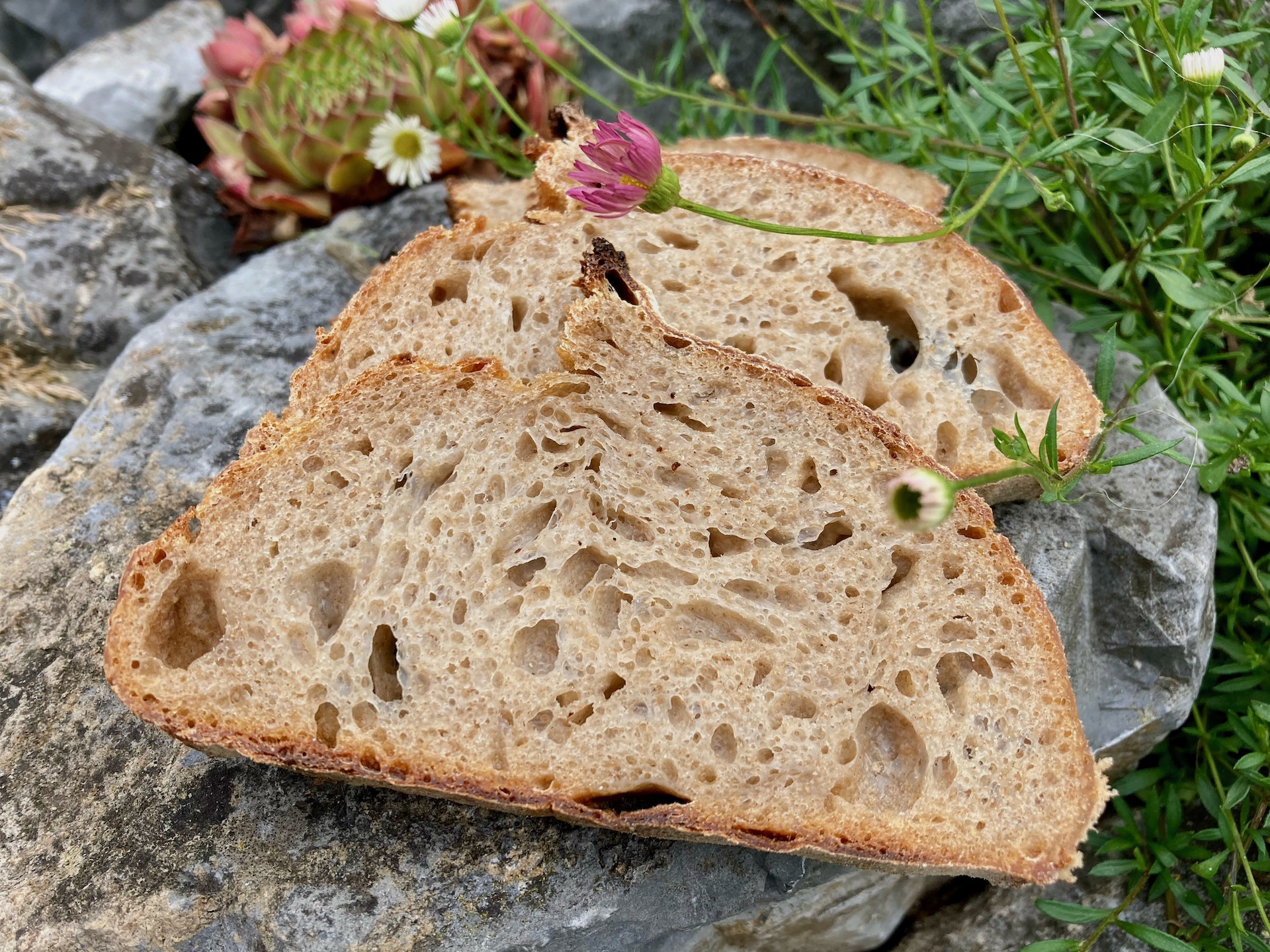 Bauernbrot – Wildes Brot