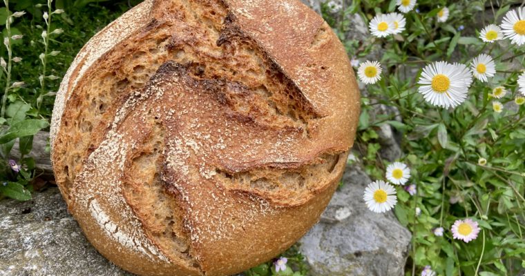 Spelt&Barley