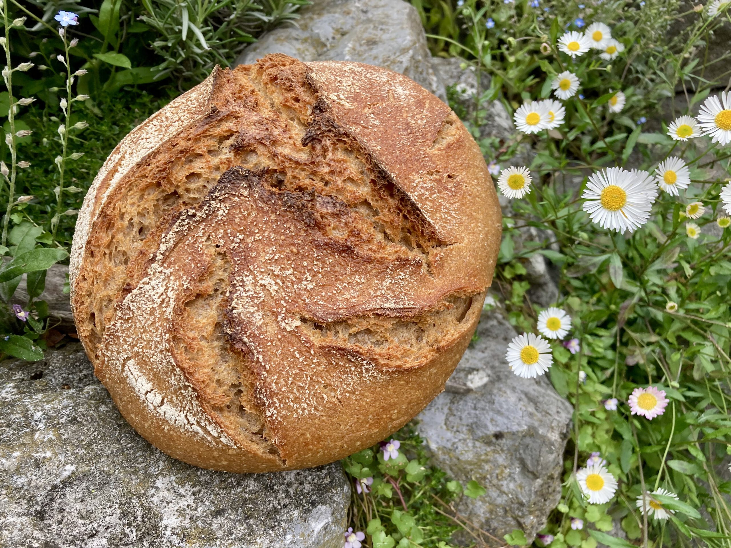 Spelt&Barley