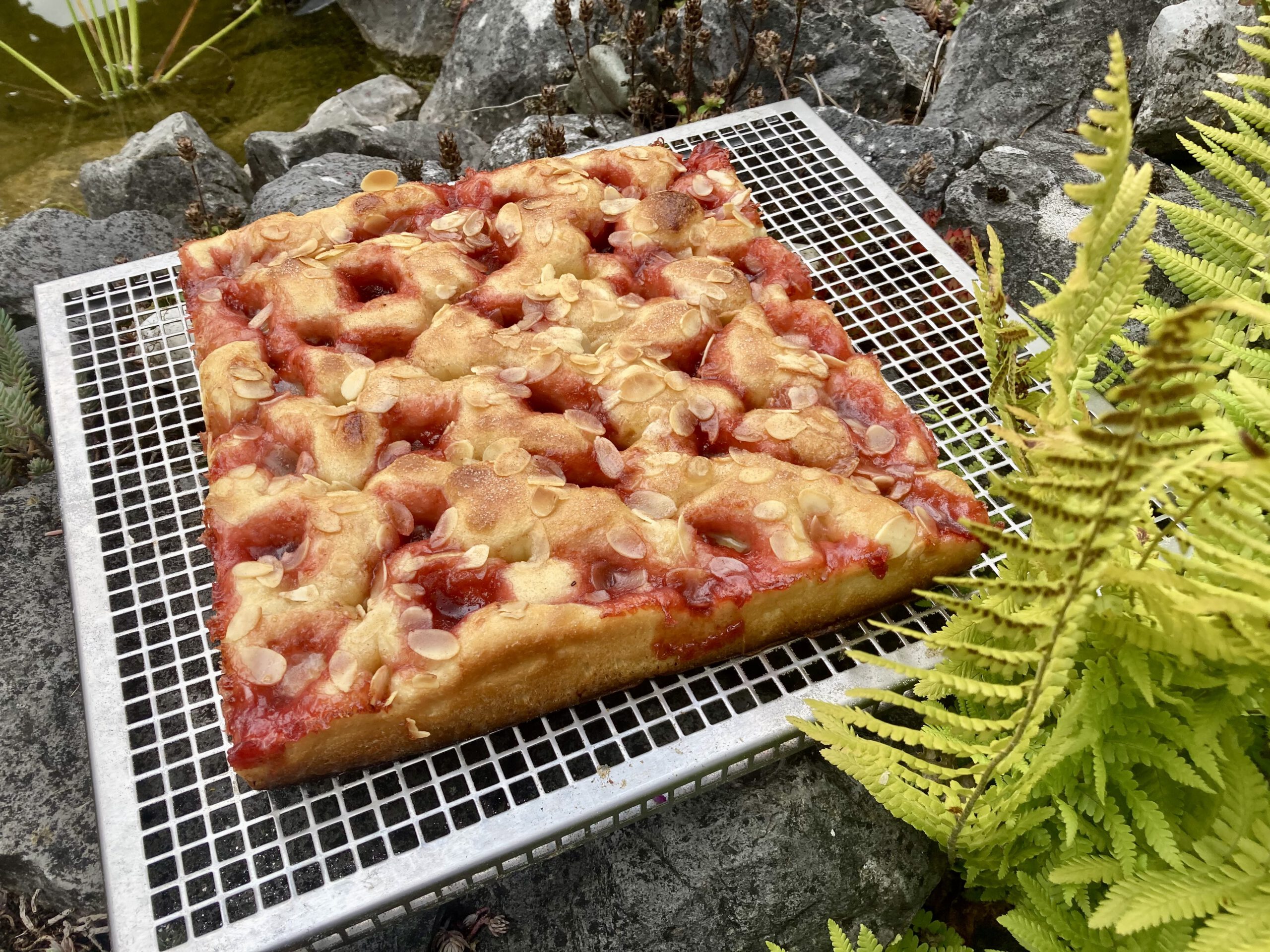 Pflaumenkuchen…mal anders